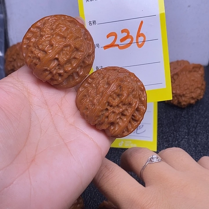 把件文玩核桃236/40白狮子