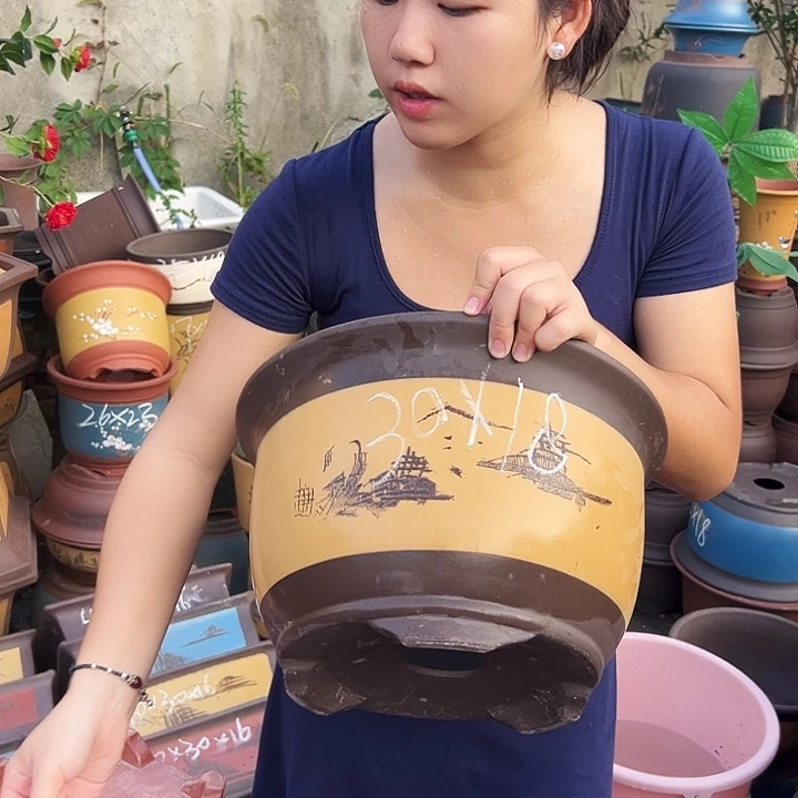 003花盆花盆花盆花盆花盆