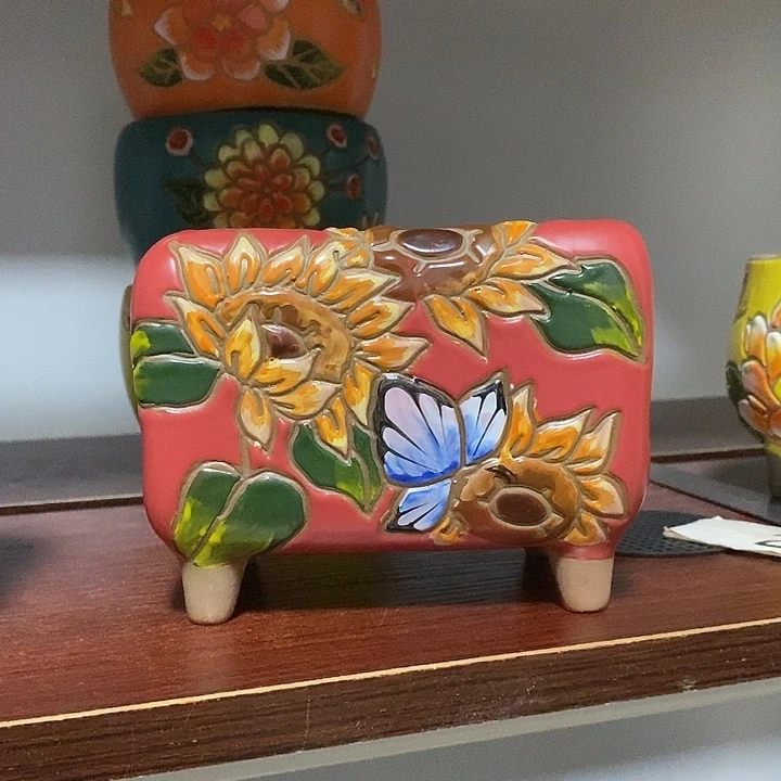 韩式多肉植物花盆