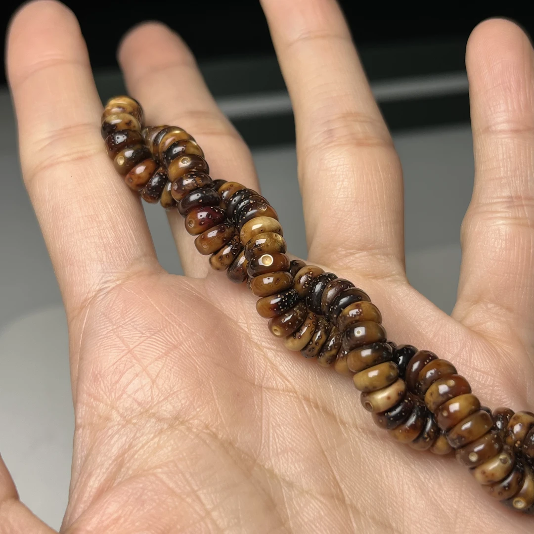 焦糖陈籽7泥鳅背肠 一步到位 高油高润 海南星月菩提一物一图