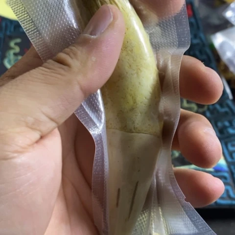 陶禪*官方链接放心拍