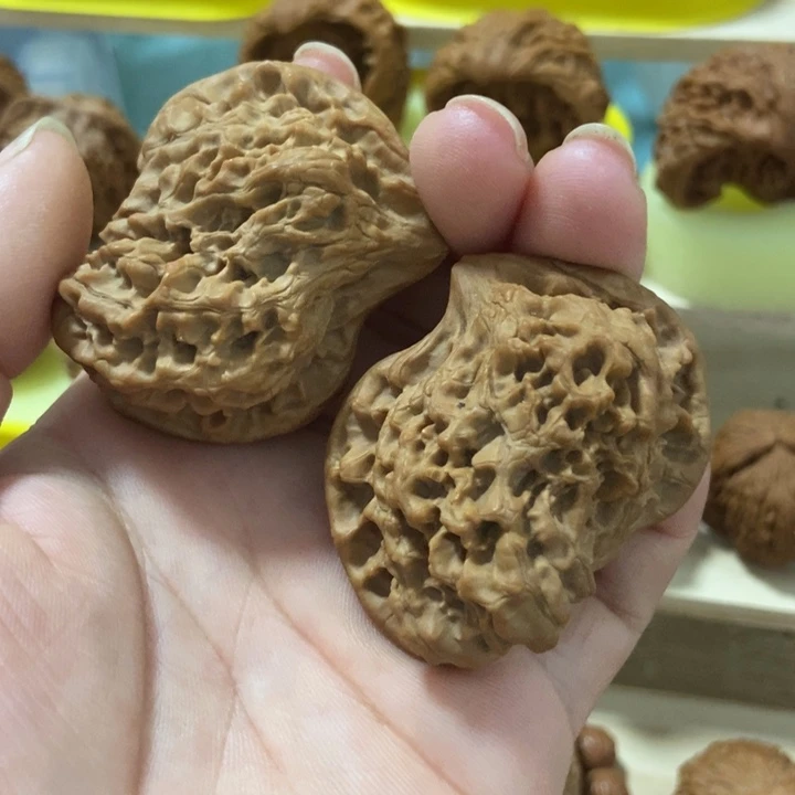 官方网站发布消息显示