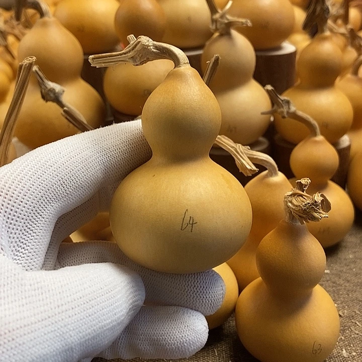 文玩葫芦 完美主义者 慎拍64