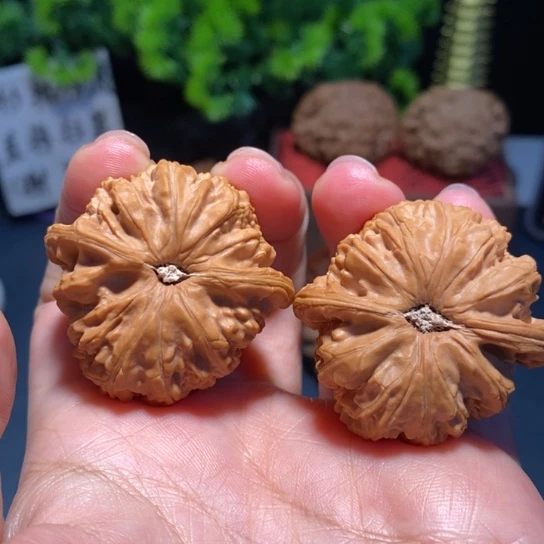 逆****把件文玩核桃文玩白狮子40尺1