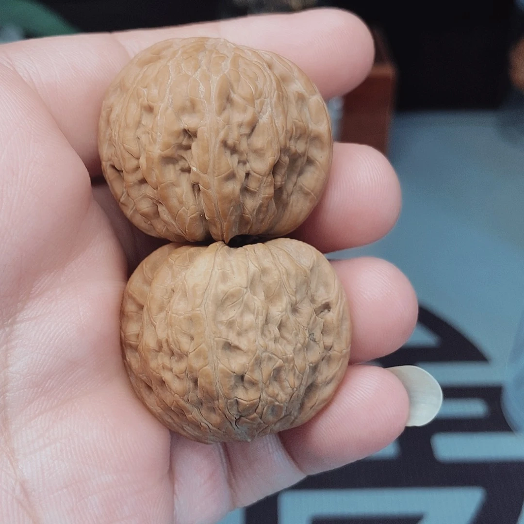 ?**✨磨盘核桃手把件！！！！！