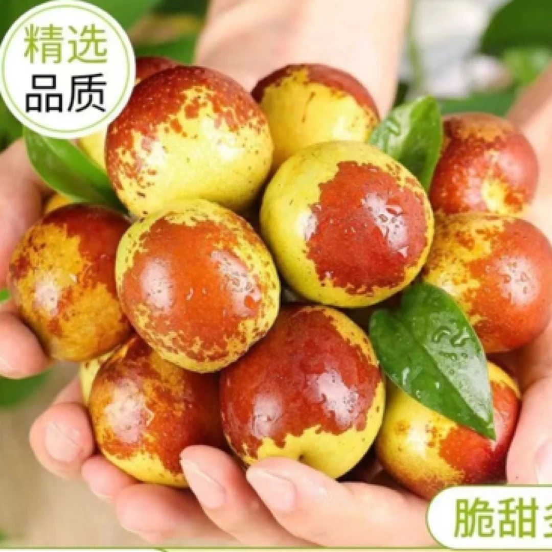 现摘新鲜大荔冬枣新鲜水果脆甜冬枣当季新枣孕妇