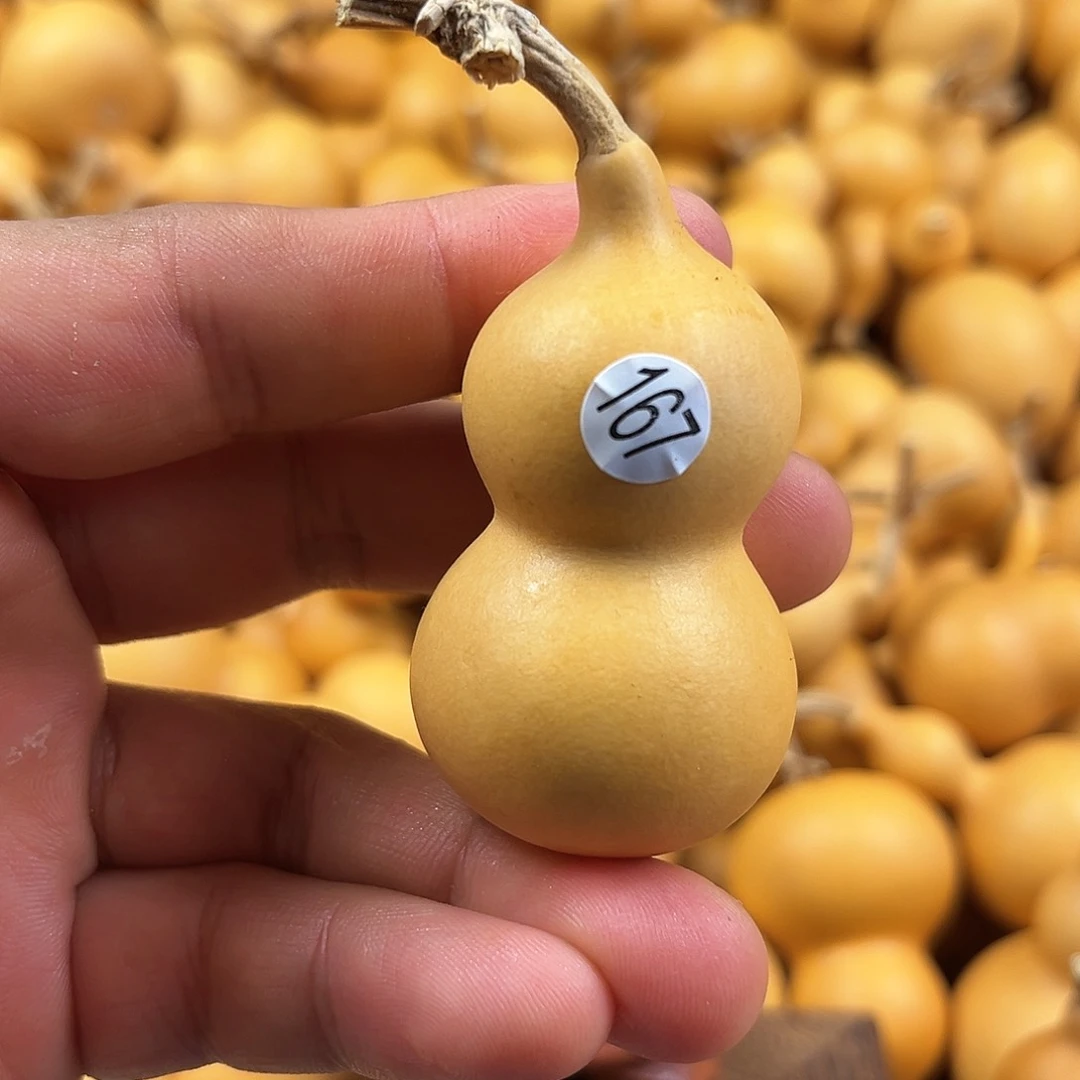 五葫芦葫芦葫芦葫芦167
