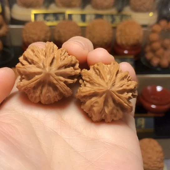 特价福利：手捻奔32尺