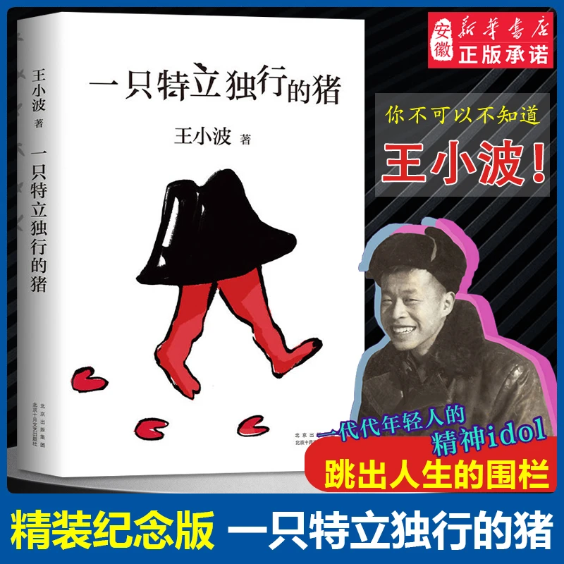 一只特立独行的猪 王小波 2020年精装纪念版 当代文学散文随笔