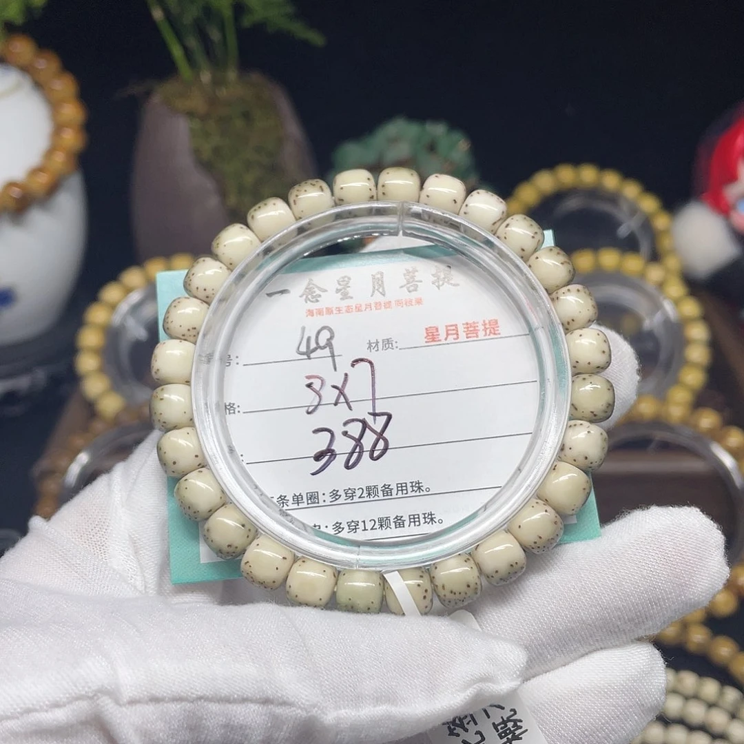 手串星月菩提49……8/7河豚