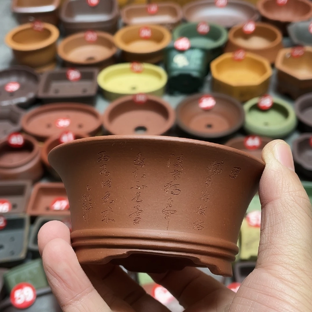 紫砂小盆8.5*3.5cmmm