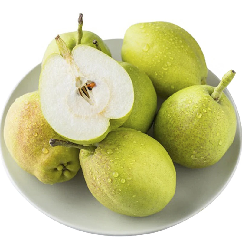 库尔勒香梨大果约600g