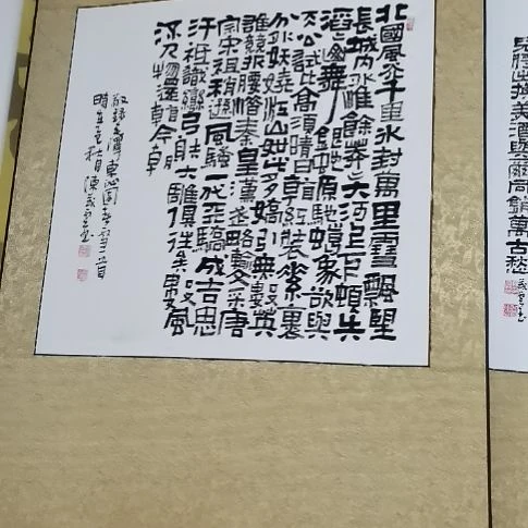 岳***橙书法沁园春雪斗方。。。