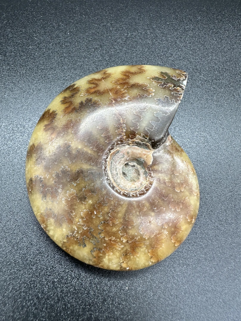 6|随心选各种各样创意礼物——家居摆件