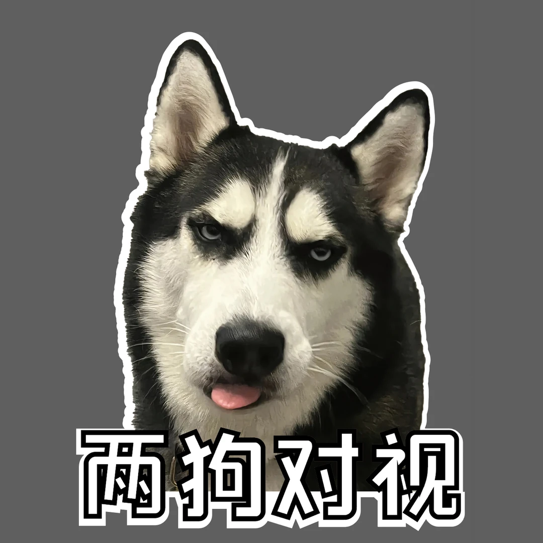 爆款两狗对视车贴电动车汽车外卖箱贴纸防水