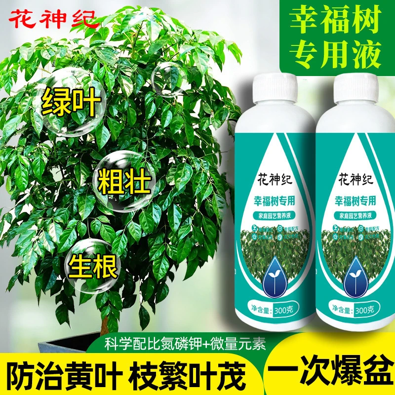 抢（买一得三瓶）幸福树专用肥营养液室内盆栽绿植防黄叶植物通用