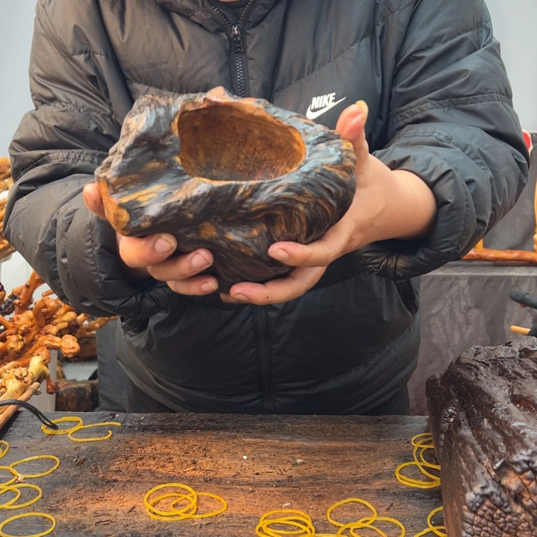 黑果木其他农*古黑果木525