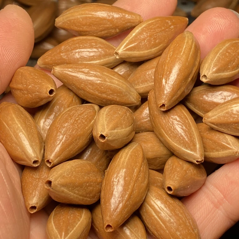 橄榄核柳叶核文玩原色无雕刻原料练手核工艺1.3细长核长串料