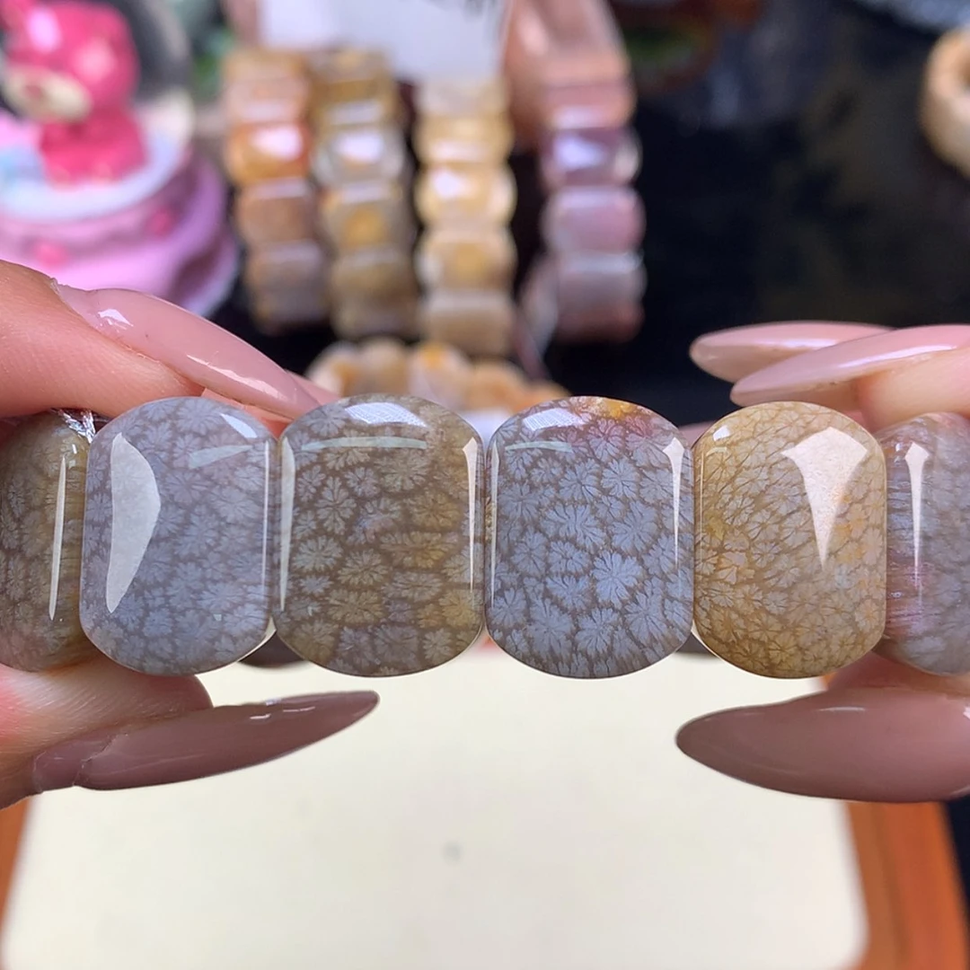 【闪购商品】颈饰未镶嵌硅化珊瑚（珊瑚玉）15号 冰枫叶