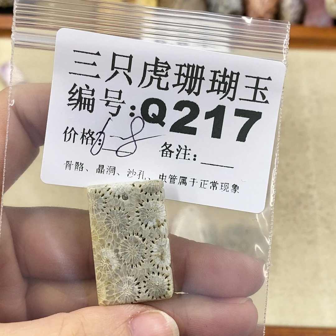 硅化珊瑚（珊瑚玉）1未镶嵌曾**时