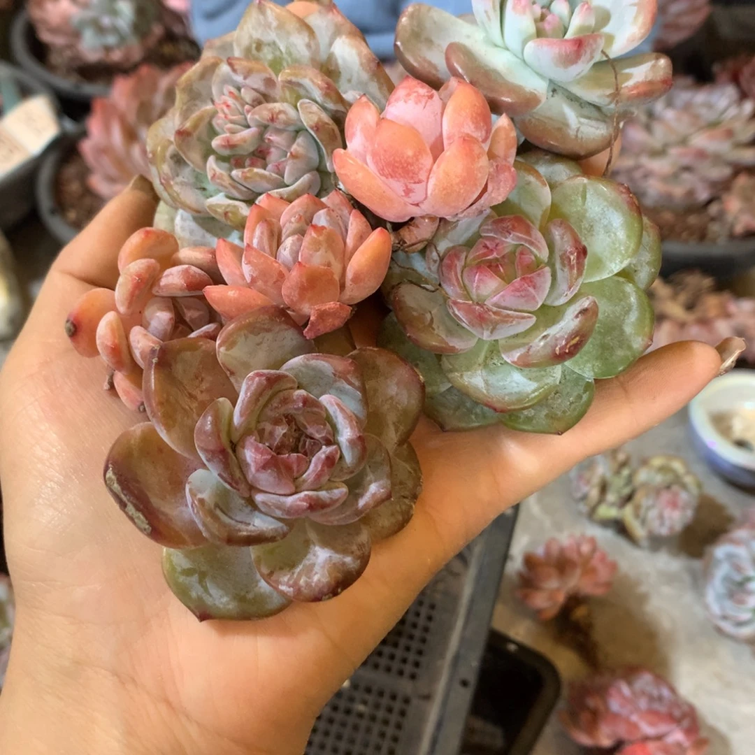 哈哈哈哈哈哈哈哈哈