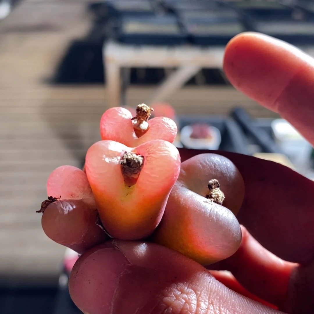 R***y14163一个一个一个