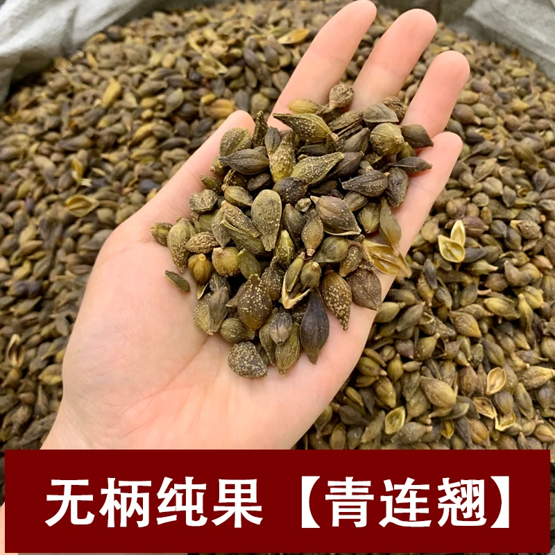 【信源堂】山西青连翘 无柄纯果 无细碎无杂质 连翘天花板500克