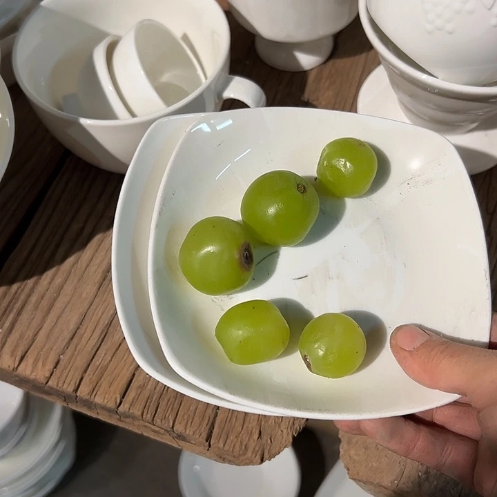 国营尾货骨瓷方盘一对口径14