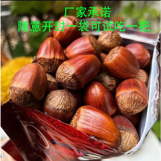 清水南山笨炒达维榛子（闭口）随着开封一袋试吃一把