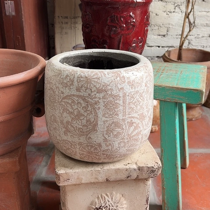 许纯的花房 孤品005