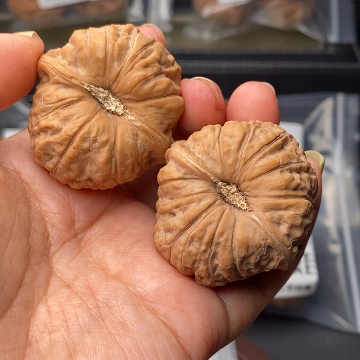 把件文玩核桃请***爱40凹底南瓜全品