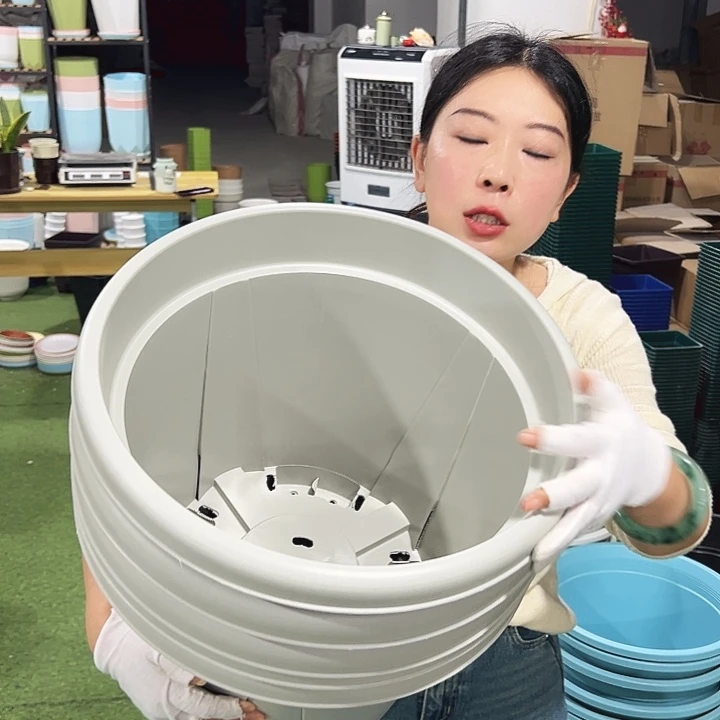 青山口40高34灰白5只无托