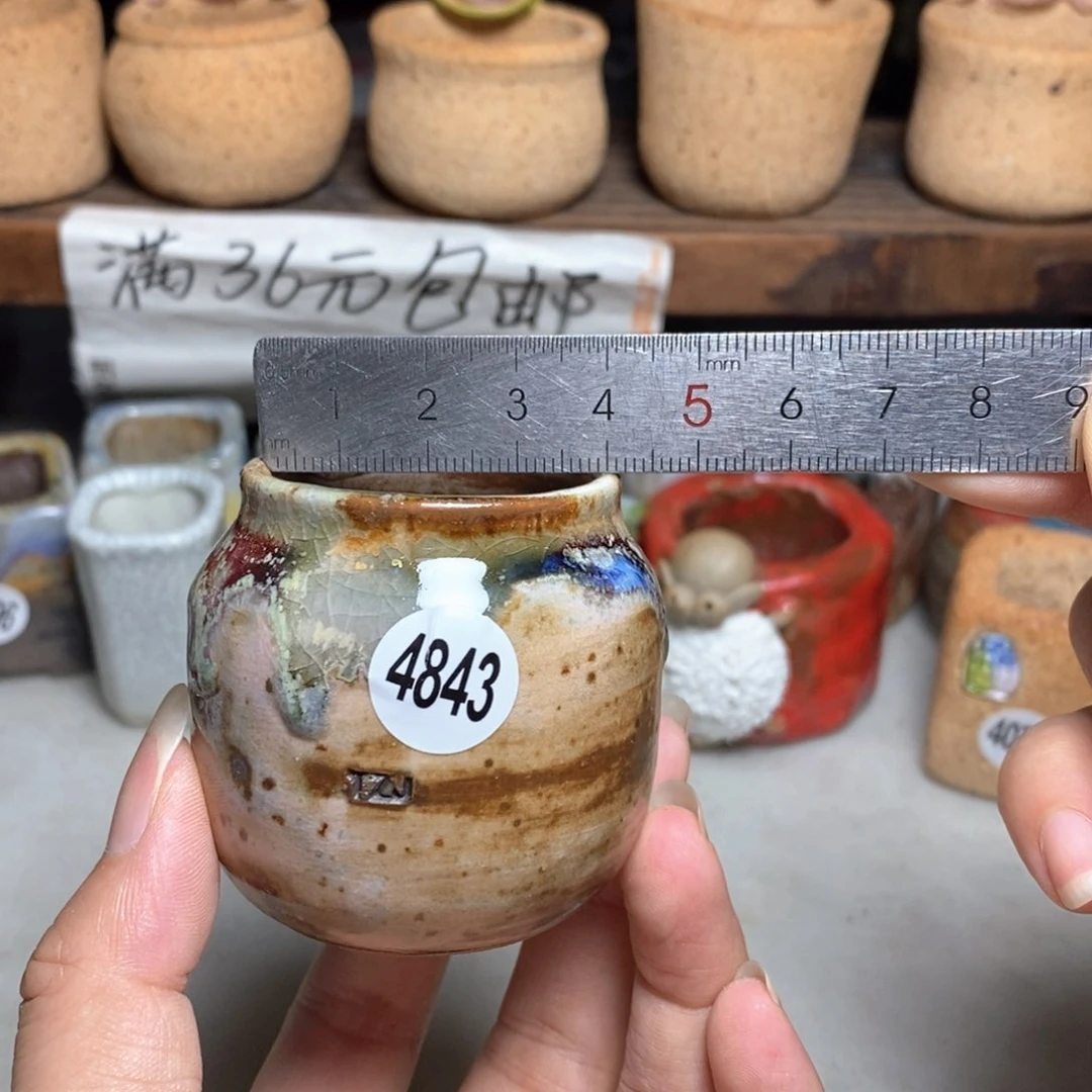 拍5送一个小礼物