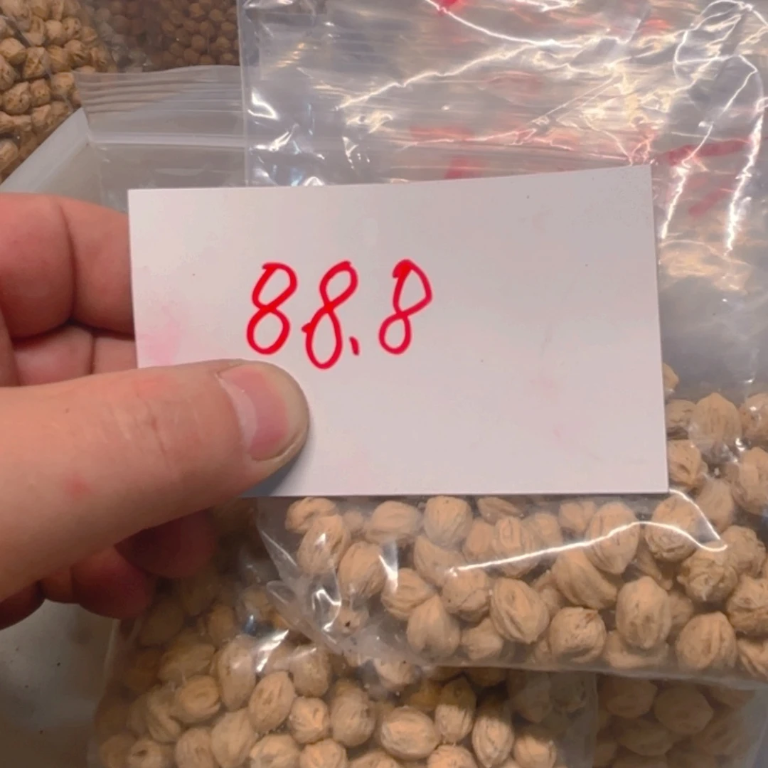 预**福柏香籽散子 473 克散子