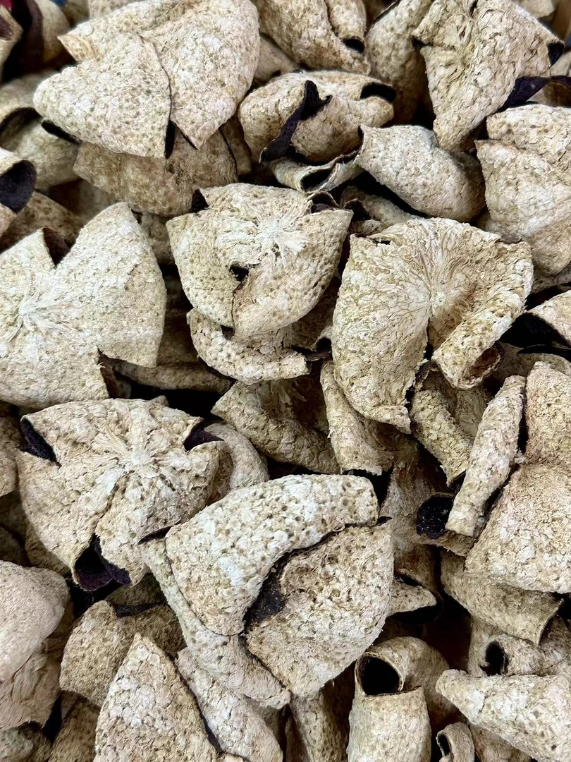 【梁总推荐/C1230】 新会陈皮 2017年东甲牛比围圈枝大红折花皮