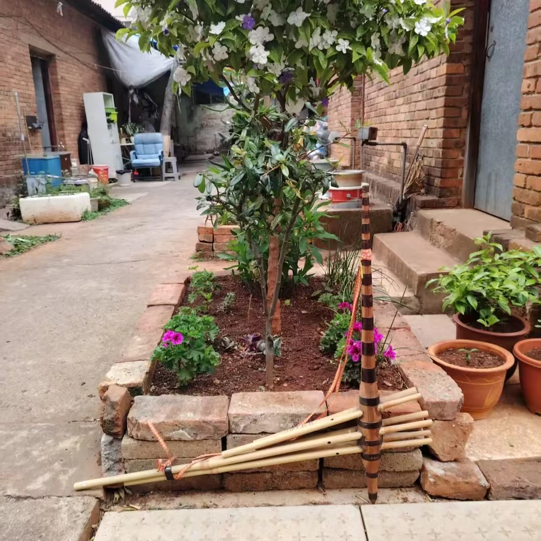 大号芦笙六管全长86公分斗高76公分