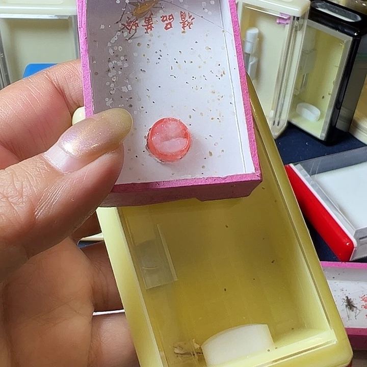 北***狼蟋蟀哈哈哈哈哈哈哈哈哈哈哈