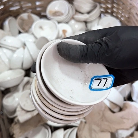 瓷片国营厂8厘米8个77