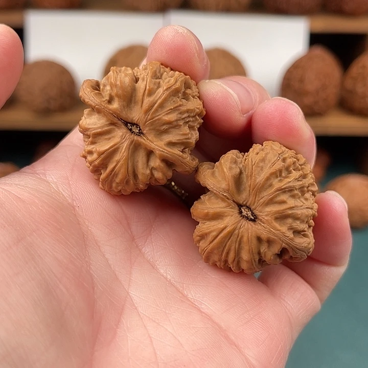 傲***天文玩核桃把件32/32.5尺山地三角白狮子