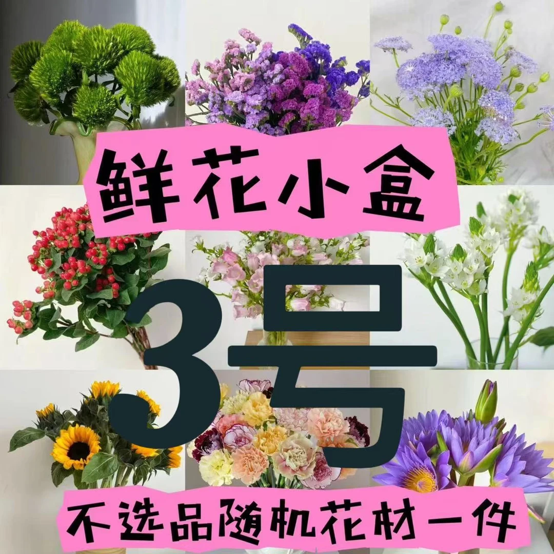 【春日来信/不拍保温棉冻坏不售后】【3号】鲜花小盒 2单以上发货包邮