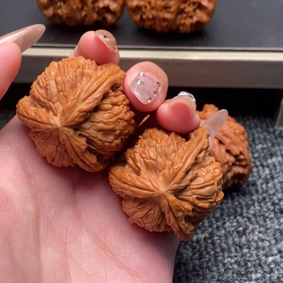 *****木质类白狮子正奔