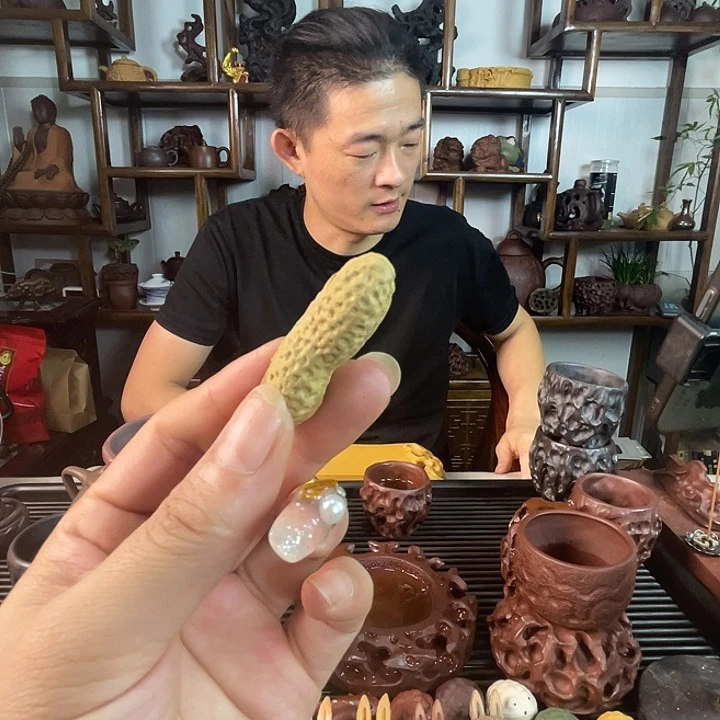 茶壶紫砂维****维太湖石主人杯