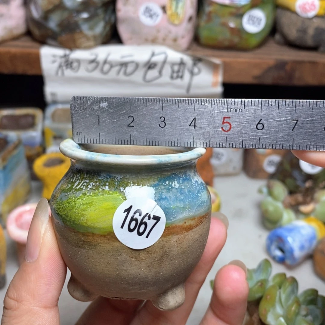 拍5送一个小礼物