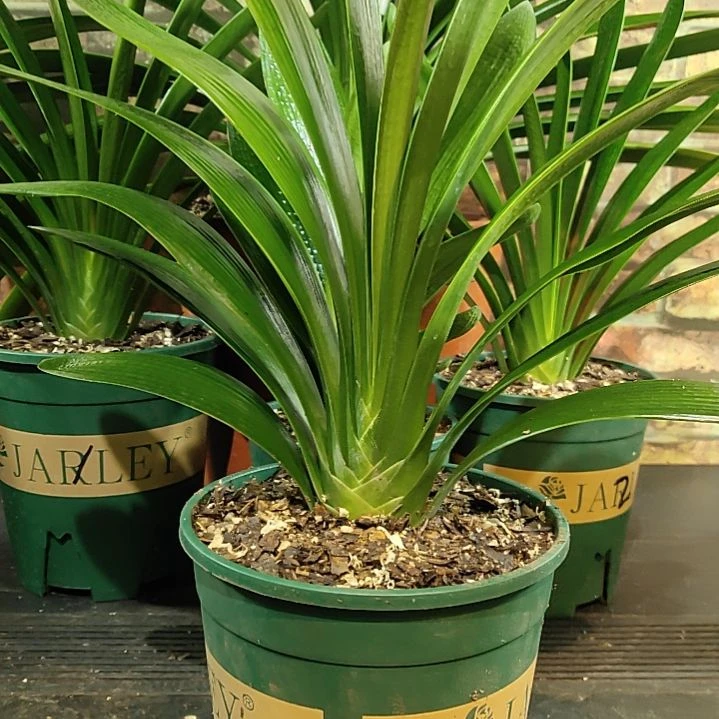 完全开放1111111111