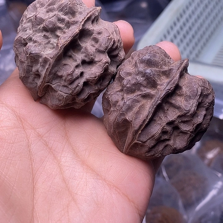 文玩核桃把件   158