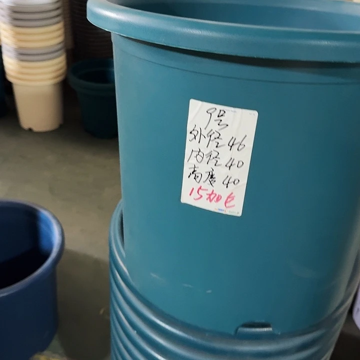 特价9#军绿12个无托