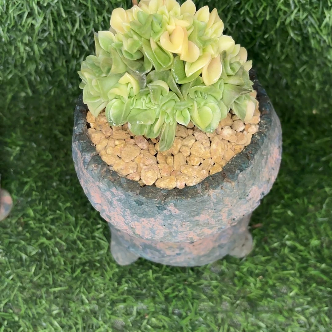 开****啦啦啦啦啦啦啦啦啦啦啦啦