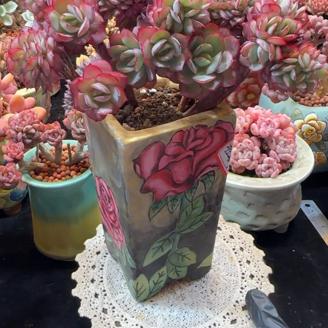 韩版牡丹亭小树缀化