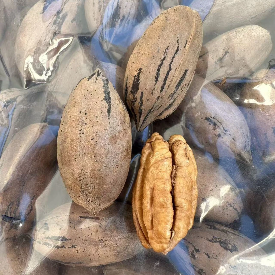云南大理高原山货碧根果