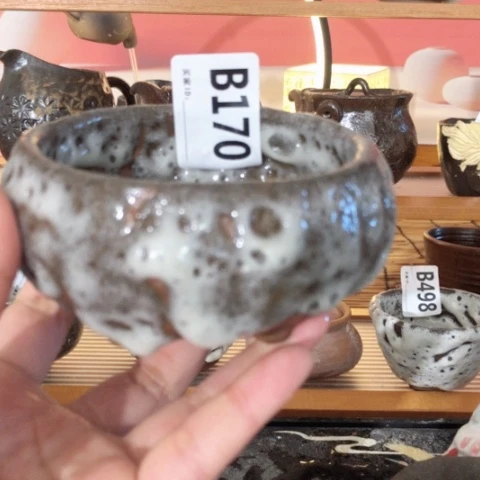 木有一点点的小姐姐